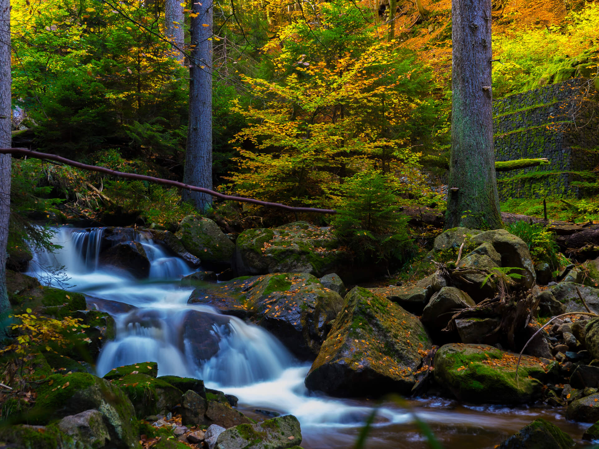 Quiz Results Analytics - Detailed progress tracking and insights